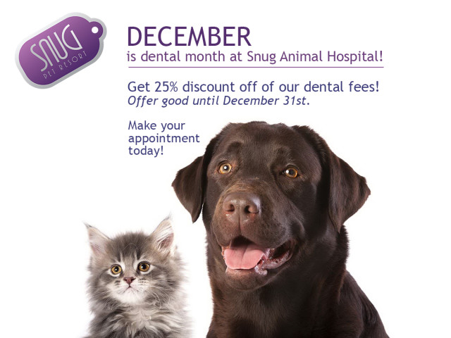 Snug sales animal hospital