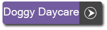 daycare